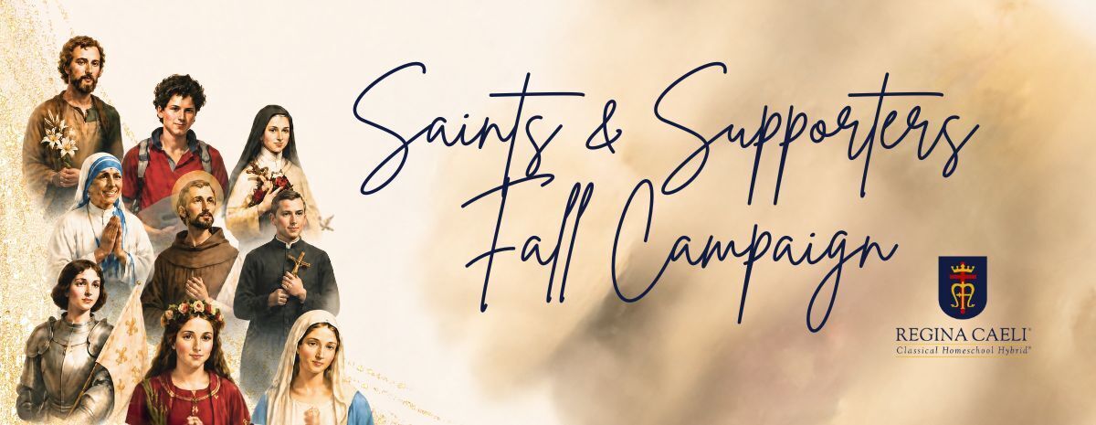 Chicagoland Fall Campaign